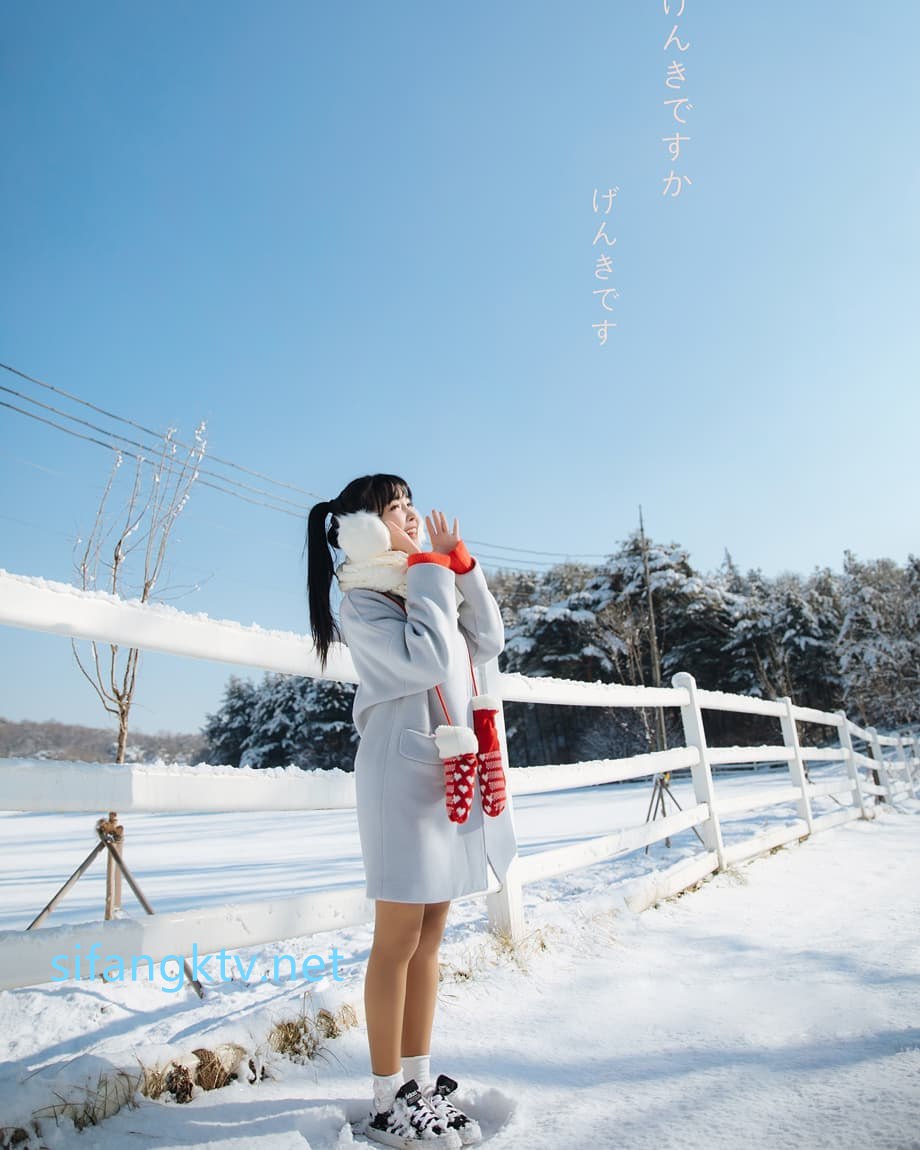 【2023-05-27】see-through