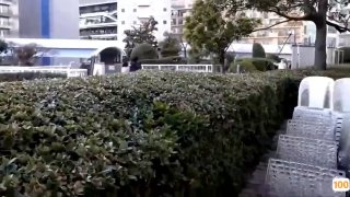 长得好标致又有气质好骚的女人玩3p